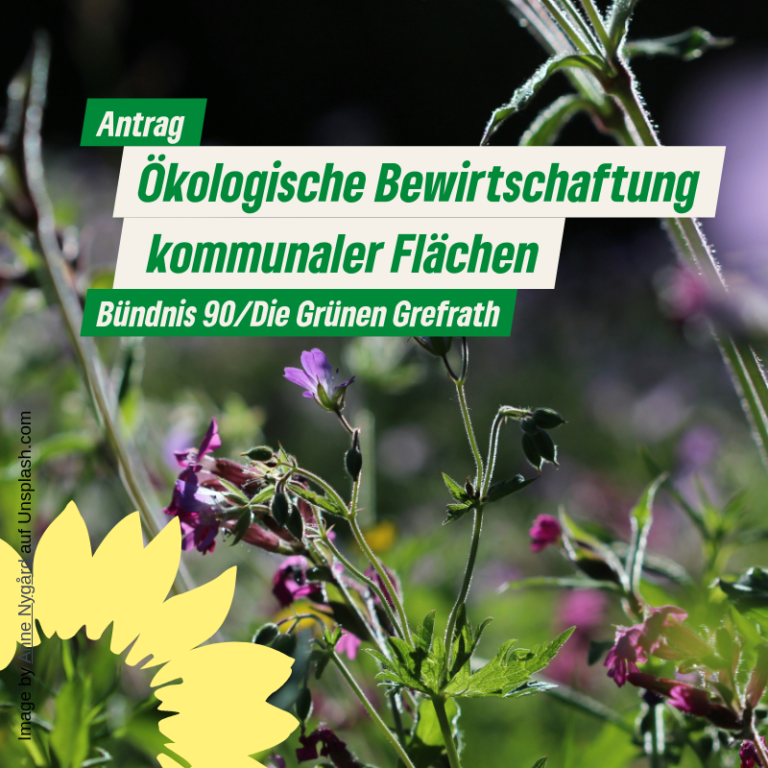 Ökologische Bewirtschaftung kommunaler Flächen